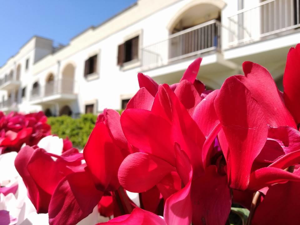 Villaggio Catalano Castellaneta Marina Εξωτερικό φωτογραφία